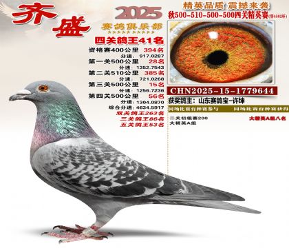 ��ʢ��Ӣ��41��