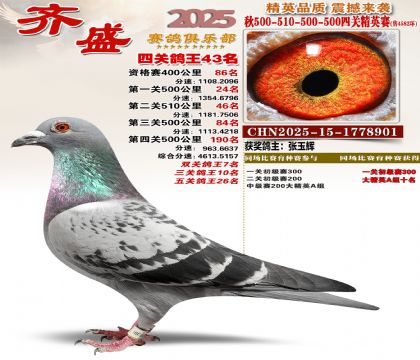 ��ʢ��Ӣ��43��