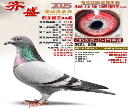 ��ʢ��Ӣ��44��