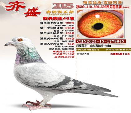 ��ʢ��Ӣ��46��