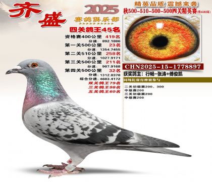 ��ʢ��Ӣ��45��