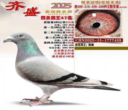 ��ʢ��Ӣ��47��