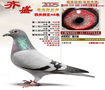 ��ʢ��Ӣ��48��