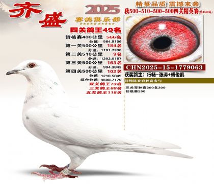 ��ʢ��Ӣ��49��