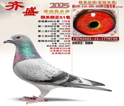 ��ʢ��Ӣ��51��