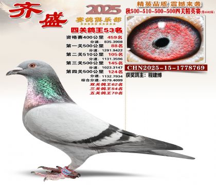 ��ʢ��Ӣ��53��