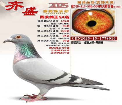 ��ʢ��Ӣ��54��