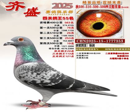 ��ʢ��Ӣ��55��