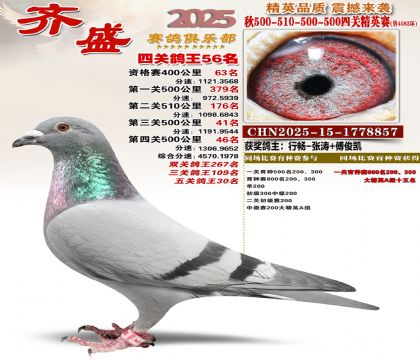 ��ʢ��Ӣ��56��