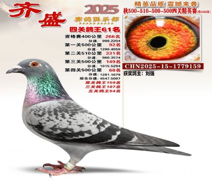 ��ʢ��Ӣ��61��