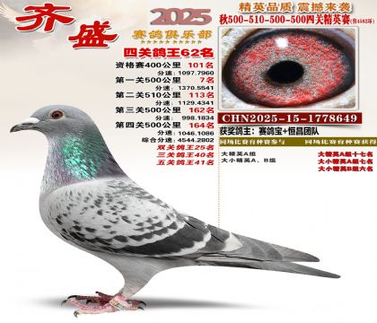 ��ʢ��Ӣ��62��