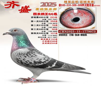 ��ʢ��Ӣ��66��