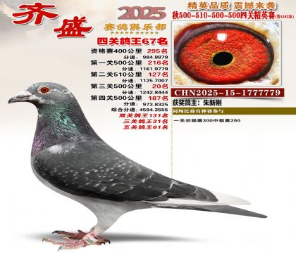 ��ʢ��Ӣ��67��