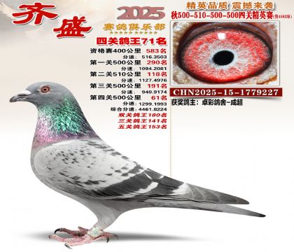 ��ʢ��Ӣ��71��