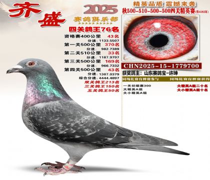 ��ʢ��Ӣ��76��