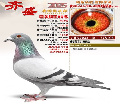 ��ʢ��Ӣ��80��