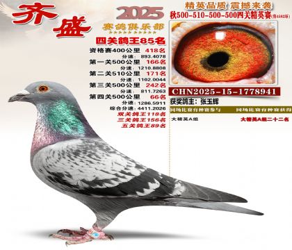 ��ʢ��Ӣ��85��