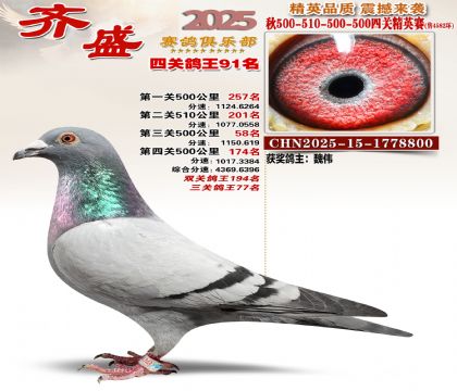 ��ʢ��Ӣ��91��