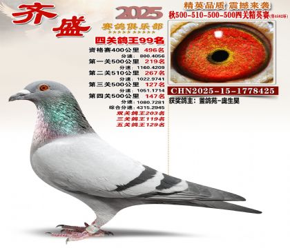 ��ʢ��Ӣ��99��