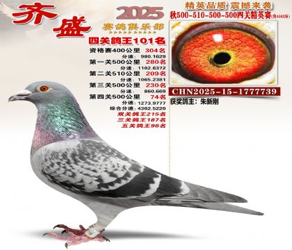 ��ʢ��Ӣ��101��