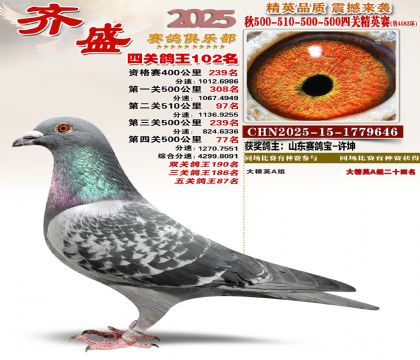 ��ʢ��Ӣ��102��