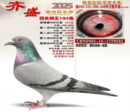 ��ʢ��Ӣ��104��