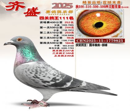 ��ʢ��Ӣ��111��