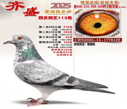 ��ʢ��Ӣ��113��