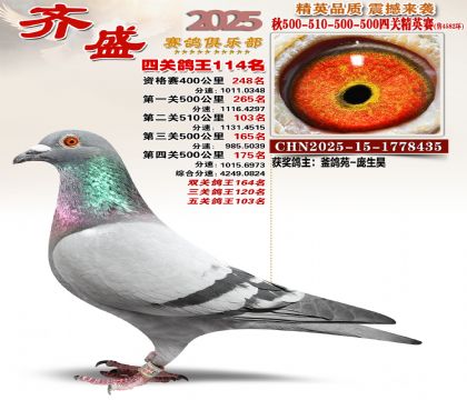 ��ʢ��Ӣ��114��