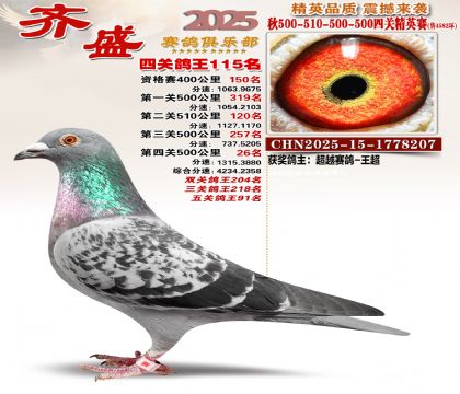 ��ʢ��Ӣ��115��