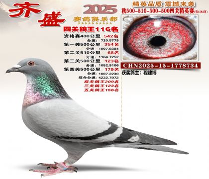 ��ʢ��Ӣ��116��