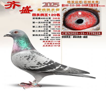 ��ʢ��Ӣ��120��