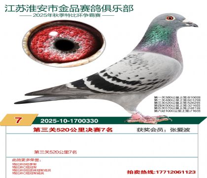 ������Ʒ����7��