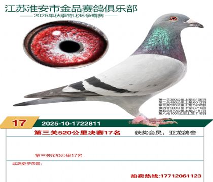 ������Ʒ����17��