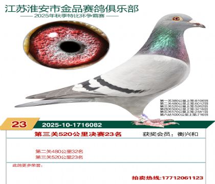 ������Ʒ����23��