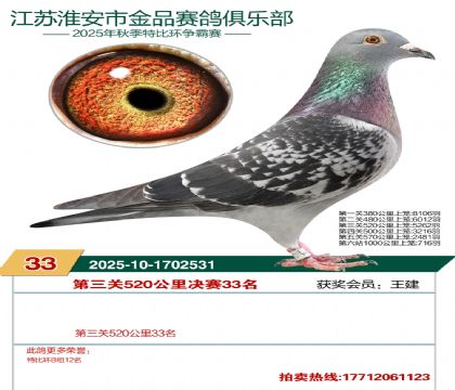 ������Ʒ����33��