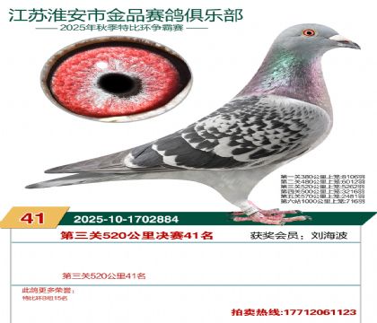 ������Ʒ����41��