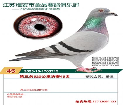 ������Ʒ����45��