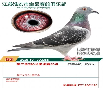 ������Ʒ����53��