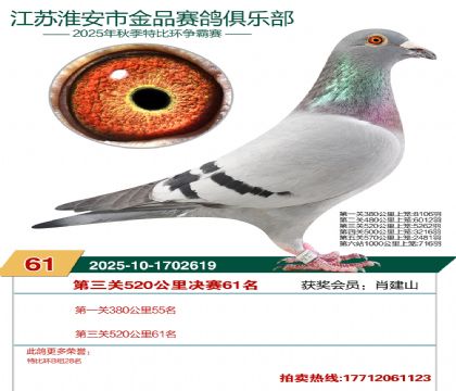 ������Ʒ����61��