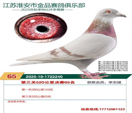 ������Ʒ����65��