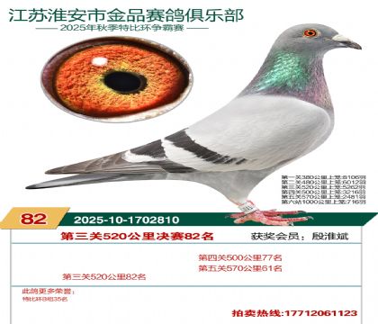 ������Ʒ����82��