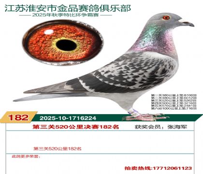 淮安金品决赛182名