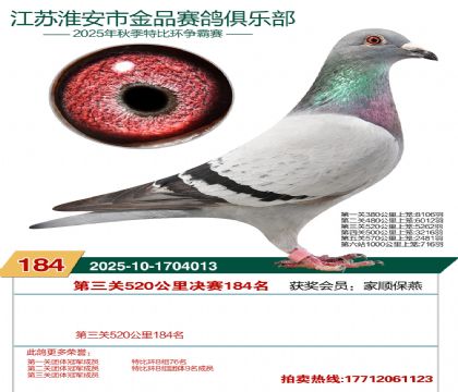 淮安金品决赛184名