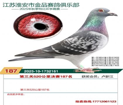 淮安金品决赛187名