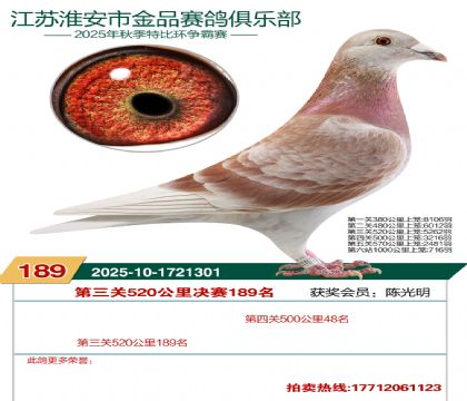 淮安金品决赛189名