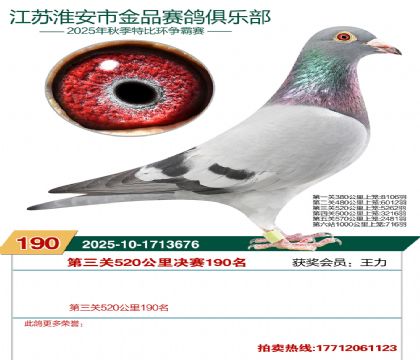 淮安金品决赛190名