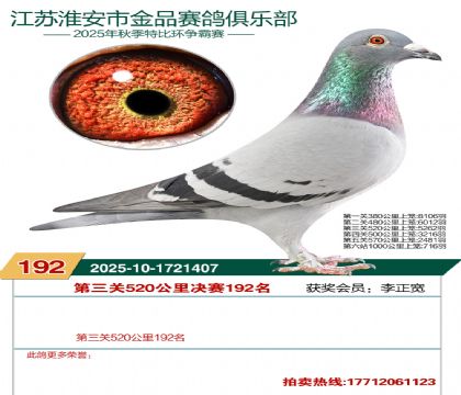 淮安金品决赛192名