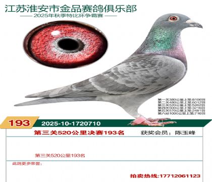 淮安金品决赛193名