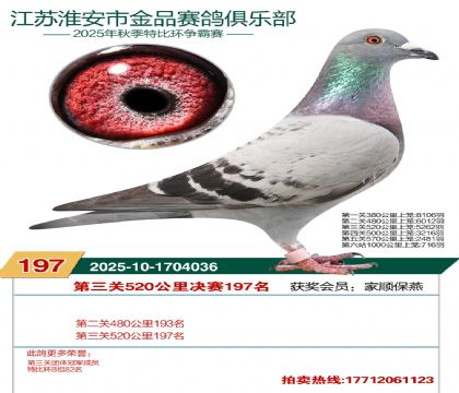 淮安金品决赛197名